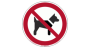 P021 | Zakaz wstępu ze zwierzętami